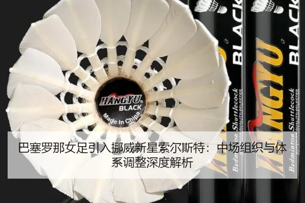 ba-sai-luo-na-nv-zu-yin-ru-nuo-wei-xin-xing-suo-er-si-te-zhong-chang-zu-zhi-yu-ti-xi-tiao-zheng-shen-du-jie-xi-2-622.jpg